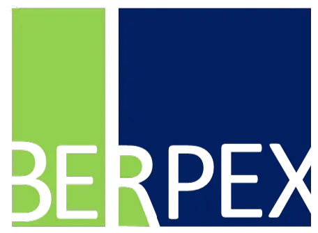 Berpex ERP Consulting Services